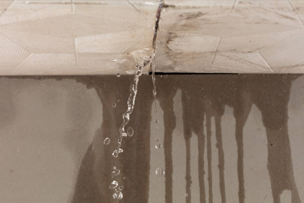 Professional Burst Pipe Cleanup technician working in Cottage Grove, TN